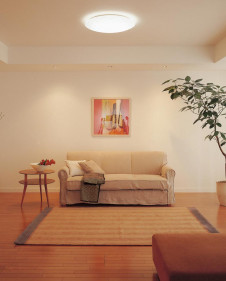 ODELIC �����ǥ�å� OL211688N OL211688N ������󥰥饤�� �ָ��� Ĺ��̿�ݷ��ָ���FHC(48W+28W) ����ץ�����|���饷�å������쥬��� �ץ饤�١���|�ѥ֥�å� ������󥰥饤�� ������ 6��8��|������󥰥饤�� ������ �ָ���