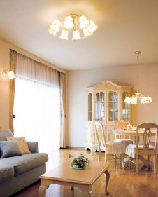 ODELIC �����ǥ�å� OC006875L OC006875L �����ǥꥢ �ָ��� �ŵ���ָ���EFA ���饷�å������쥬��� �ѥ֥�å� �����ǥꥢ ������ 6��8��|�����ǥꥢ ������ �ָ���