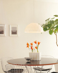 ODELIC �����ǥ�å� OP087427L OP087427L �ڥ����ȥ饤�� �ָ��� �ŵ���ָ���EFG ����ץ����� �ѥ֥�å� �ڥ����ȥ饤�� ������ �ָ��� 25W