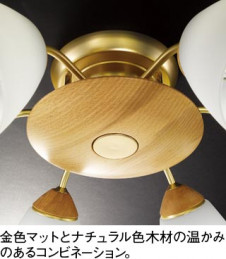 ODELIC �����ǥ�å� OC006903L OC006903L �ڥ����ȥ饤�� �ָ��� �ŵ���ָ���EFA ����ץ�����|�ʥ����롦����ȥ꡼ �ѥ֥�å�|��ư���� �����ǥꥢ ������ 4.5��6��|�����ǥꥢ ������ �ָ���|�ڥ����ȥ饤�� ������ 4.5��6��|�ڥ����ȥ饤�� ������ �ָ��� 25W�ʾ�