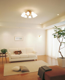 ODELIC �����ǥ�å� OC006905L OC006905L �����ǥꥢ �ָ��� �ŵ���ָ���EFA ����ץ�����|�ʥ����롦����ȥ꡼ �ѥ֥�å� �����ǥꥢ ������ 10��12��|�����ǥꥢ ������ �ָ���