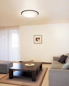 ODELIC �����ǥ�å� OL211804L OL211804L ������󥰥饤�� �ָ��� Ĺ��̿�ݷ��ָ���FHC(48W+38W+28W) ����ץ�����|�ʥ����롦����ȥ꡼ �ץ饤�١���|�ѥ֥�å� ������󥰥饤�� ������ 10��12��|������󥰥饤�� ������ �ָ���