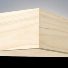 ODELIC �����ǥ�å� OL112575L OL112575L ������󥰥饤�� �ָ��� ľ�ɷָ���FHF ���� �¼�|�ץ饤�١���|�ѥ֥�å� �����б����� ������󥰥饤�� ������ �ָ���