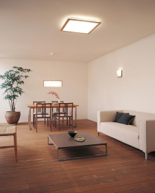 ODELIC �����ǥ�å� OL112566L OL112566L ������󥰥饤�� �ָ��� Ĺ��̿�ݷ��ָ���FHC(48W+38W)  �¼�|�ѥ֥�å�|�ץ饤�١��� ������󥰥饤�� ������ 8��10��|������󥰥饤�� ������ �ָ���