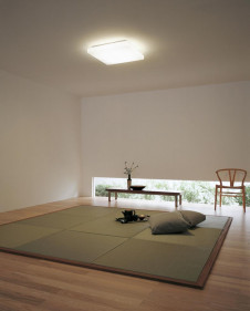 ODELIC �����ǥ�å� OL211825L OL211825L ������󥰥饤�� �ָ��� Ĺ��̿�ݷ��ָ���FHC(48W+28W) ����ץ����� �ץ饤�١���|�ѥ֥�å� ������󥰥饤�� ������ 6��8��|������󥰥饤�� ������ �ָ���