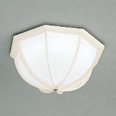 ODELIC �����ǥ�å� OG041021 OG041021 �������ƥꥢ�饤�� �ָ��� �ݷ��ָ���FCL  �������ƥꥢ �������ƥꥢ�饤�� �����ȥɥ��ɡ�ŷ����� �ָ���