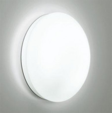 ODELIC �����ǥ�å� OW009345 OW009345 �������ƥꥢ�饤�� �ָ��� �ݷ��ָ���FCL  �����|�������ƥꥢ �Х��롼��饤��|�������ƥꥢ�饤�� �����ȥɥ��ɡ�ŷ����� �ָ���