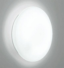 ODELIC �����ǥ�å� OW009347 OW009347 �������ƥꥢ�饤�� �ָ��� �ݷ��ָ���FCL  �����|�������ƥꥢ �Х��롼��饤��|�������ƥꥢ�饤�� �����ȥɥ��ɡ�ŷ����� �ָ���