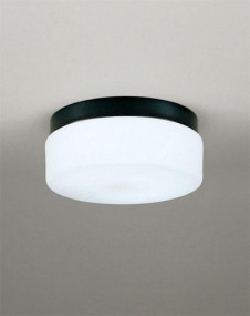 ODELIC �����ǥ�å� OG041378N OG041378N �������ƥꥢ�饤�� �ָ��� �ݷ��ָ���FCL  �������ƥꥢ �������ƥꥢ�饤�� �����ȥɥ��ɡ�ŷ����� �ָ���