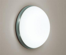 ODELIC �����ǥ�å� OW009364N OW009364N �������ƥꥢ�饤�� �ָ��� �ݷ��ָ���FCL  �����|�������ƥꥢ �Х��롼��饤��|�������ƥꥢ�饤�� �����ȥɥ��ɡ�ŷ����� �ָ���