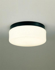 ODELIC �����ǥ�å� OG041379L OG041379L �������ƥꥢ�饤�� �ָ��� �ݷ��ָ���FCL  �������ƥꥢ �������ƥꥢ�饤�� �����ȥɥ��ɡ�ŷ����� �ָ���