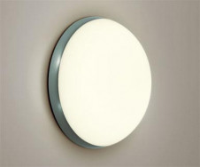 ODELIC �����ǥ�å� OW009364L OW009364L �������ƥꥢ�饤�� �ָ��� �ݷ��ָ���FCL  �����|�������ƥꥢ �Х��롼��饤��|�������ƥꥢ�饤�� �����ȥɥ��ɡ�ŷ����� �ָ���