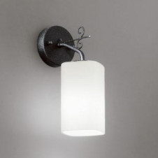 ODELIC �����ǥ�å� OB080903L OB080903L �֥饱�å� �ָ��� �ŵ���ָ���EFA ���饷�å������쥬���|�ʥ����롦����ȥ꡼ �ѥ֥�å�|�ץ饤�١���|��ư����|����� �֥饱�åȥ饤�� �ָ���