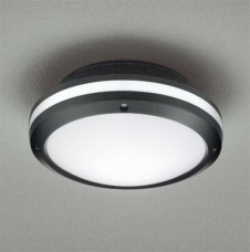 ODELIC �����ǥ�å� OG041631 OG041631 �������ƥꥢ�饤�� �ָ��� �ŵ���ָ���EFA  �������ƥꥢ �������ƥꥢ�饤�� �����ȥɥ��ɡ�ŷ����� �ָ���