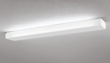 ODELIC �����ǥ�å� OB080799N OB080799N ������󥰥饤�� �ָ��� ľ�ɷָ���FHF  �ѥ֥�å�|�ץ饤�١���|��ư���� ������󥰥饤�� ������ 6��8��|������󥰥饤�� ������ �ָ���|�֥饱�åȥ饤�� �ָ���