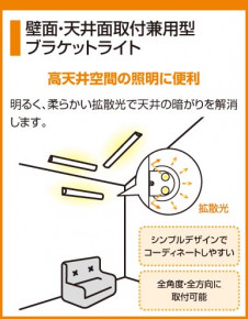 ODELIC �����ǥ�å� OB080799L OB080799L ������󥰥饤�� �ָ��� ľ�ɷָ���FHF  �ѥ֥�å�|�ץ饤�١���|��ư���� ������󥰥饤�� ������ 6��8��|������󥰥饤�� ������ �ָ���|�֥饱�åȥ饤�� �ָ���