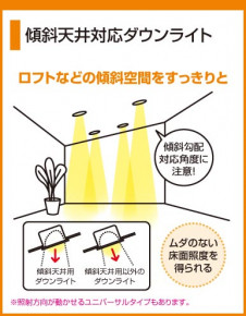 ODELIC �����ǥ�å� OD062443N OD062443N ������饤�� �ָ��� �ŵ���ָ���EFD  �ѥ֥�å�|�ץ饤�١���|��ư����|����� ������饤�� �ⵤ̩�ײ�SGI�� �ָ���|������饤�� ����ŷ���б�