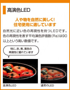 ODELIC ǥå OS256001 OS256001 ֥饱å LED 鿧LED  ѥ֥å|ץ饤١|ư| ֥饱åȥ饤 LED|ۡƥ˥ ѥƥ˥륷꡼ ݥåȥ饤 LED|ݥåȥ饤 LED