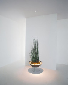 ODELIC �����ǥ�å� OD062625 OD062625 ������饤�� �ϥ�������� ���������ϥ������  �ѥ֥�å�|�ץ饤�١���|��ư����|����� ������饤�� SGI�� �ϥ������