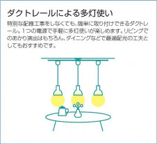 DAIKODX-89045CAFE饤ȥꥪꥸʥڥȥ饤