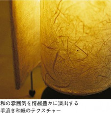 DAIKO ŵ   DST-52098 ͼ̿