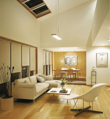 DAIKO ����ŵ� �ڥ����� DPN-34744 �ܹ���