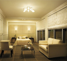 DAIKO ����ŵ� �����ǥꥢ DCH-36271 �ܹ���