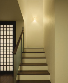 DAIKO �������� ����ŵ� �ָ����֥饱�å� DBK-36871L