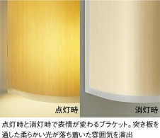 DAIKO �������� ����ŵ� �ָ����֥饱�å� DBK-36873L