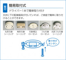 DAIKO  ŵ ǥꥢ DCH-35301