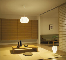 DAIKO �������� ����ŵ� �ָ����ڥ����� DPN-36942L