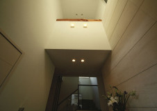 DAIKO �������� ����ŵ� LED�֥饱�å� DBK-37009