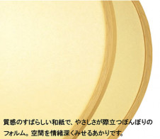 Panasonic ڥ  HFD8566NEZ ̿2