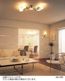 Panasonic �ڥ����� HED1244E �̿�2