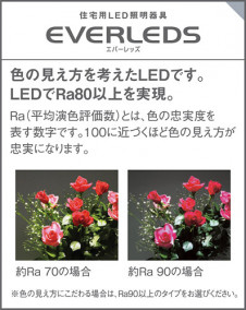 Panasonic LED ���ݥåȥ饤�� LGB54293KLG1 �̿�1