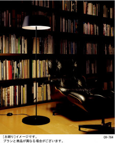 Panasonic ������� SF373W �̿�1