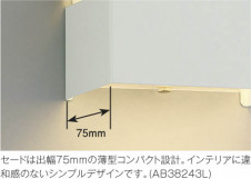 �������߾��� KOIZUMI LED�֥饱�å� AB38241L ��ħ�̿�