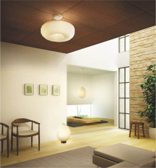 �������߾��� KOIZUMI �����ָ���������� AHN600118 ���� �ָ������ŵ忧�˷ָ�EFD����  koizumi ahn600118