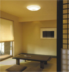 ߾ KOIZUMI ָ AHN636354  ָŵ忧˷ָFHC  koizumi ahn636354