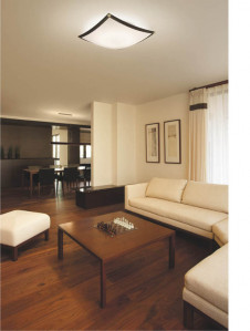 ߾ KOIZUMI ָ AHN636445  ָ򿧡˷ָFHC  koizumi ahn636445