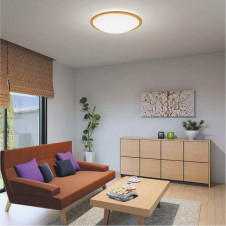 �������߾��� KOIZUMI �ָ���������� AHN637028 ������� �ָ������ŵ忧�˷ָ�FHC����  koizumi ahn637028