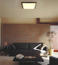 �������߾��� KOIZUMI �ָ���������� AHN637060 ������� �ָ��������򿧡˷ָ�FHC����  koizumi ahn637060