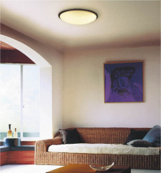 �������߾��� KOIZUMI �ָ���������� AHN637078 ������� �ָ��������򿧡˷ָ�FHC����  koizumi ahn637078