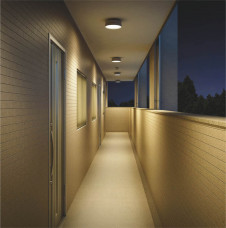 �������߾��� KOIZUMI LED�ɱ��ɼ���������� AU38434L �ܹ���̿�