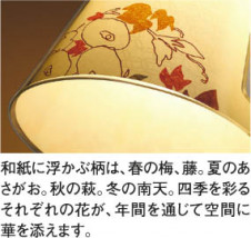 �������߾��� KOIZUMI �����ָ����ڥ����� APN615317 ���� �ָ������ŵ忧�˷ָ�EFA����  koizumi apn615317