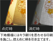 �������߾��� KOIZUMI �����ָ����ڥ����� APN615318 ���� �ָ������ŵ忧�˷ָ�EFA����  koizumi apn615318