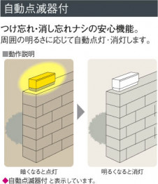 ߾ KOIZUMI  AUN646275 ȥɥ饤 ָŵ忧˷ָEFA  koizumi aun646275