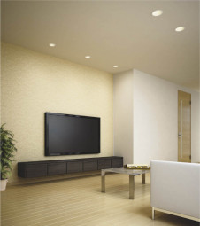 �������߾��� KOIZUMI �ⵤ̩SG��������饤�� ADN650241 �ܹ���̿�