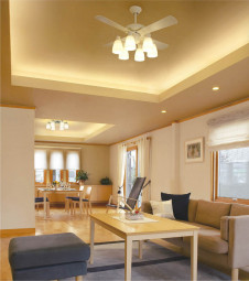 �������߾��� KOIZUMI ŷ�������� AAN690114 �ܹ���̿�