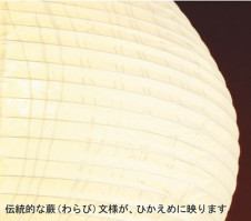 PANASONIC ѥʥ˥åŹ ڥ HED4037CEP  panasonic hed4037cep